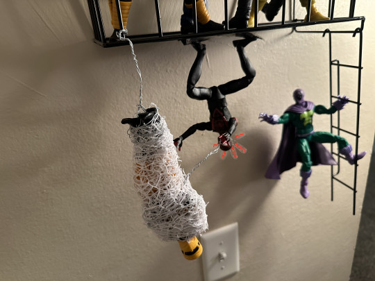 Display by TabCeezey