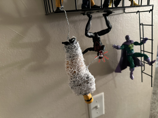 Display by TabCeezey