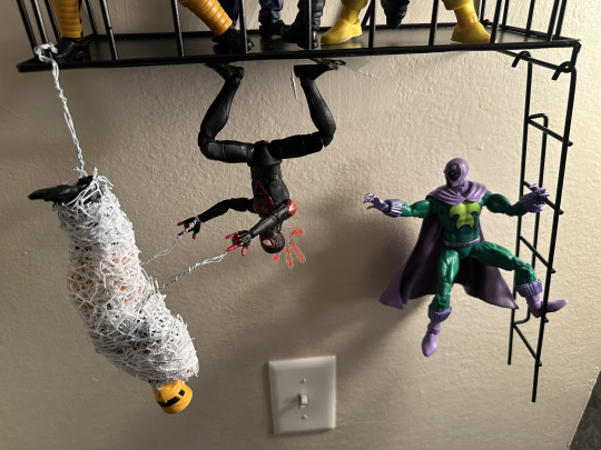 Display by TabCeezey