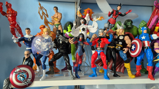 Display by Joely