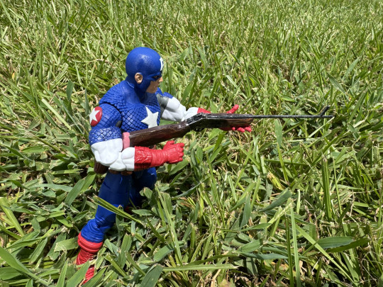 Display by Sabretooth_8Urj