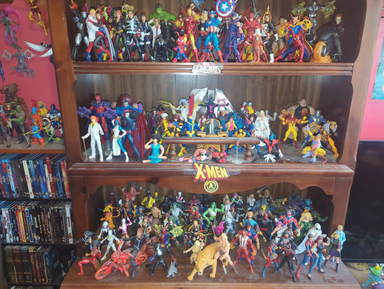 Display by Loganxdanstoys