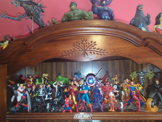 Display by Loganxdanstoys