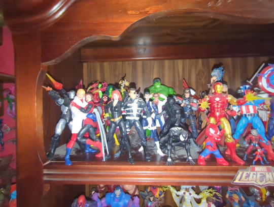 Display by Loganxdanstoys