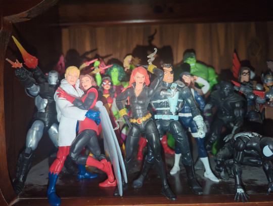 Display by Loganxdanstoys
