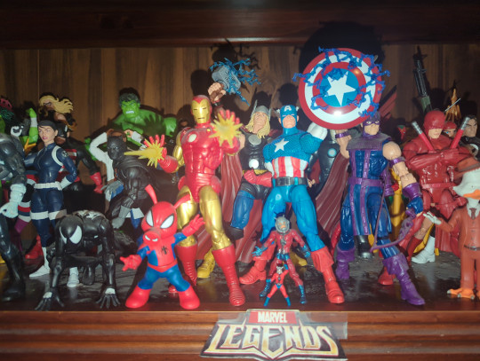 Display by Loganxdanstoys