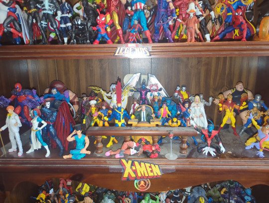 Display by Loganxdanstoys