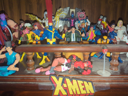 Display by Loganxdanstoys