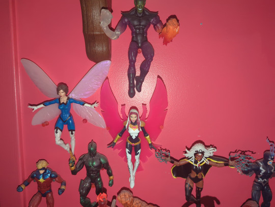 Display by Loganxdanstoys