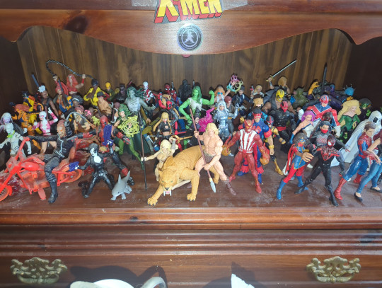 Display by Loganxdanstoys