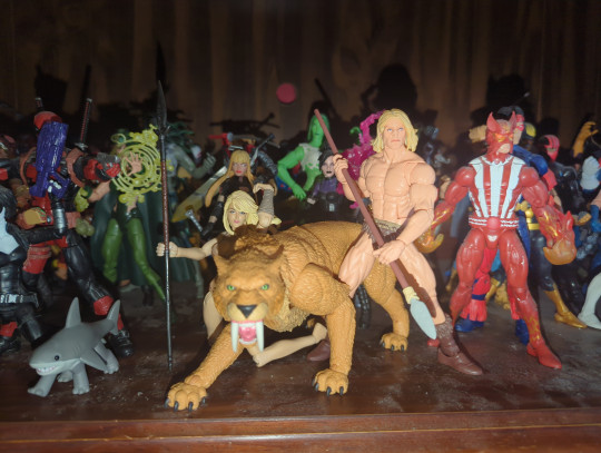 Display by Loganxdanstoys