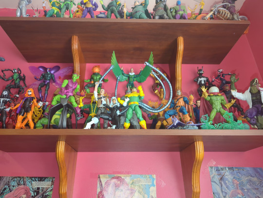 Display by Loganxdanstoys