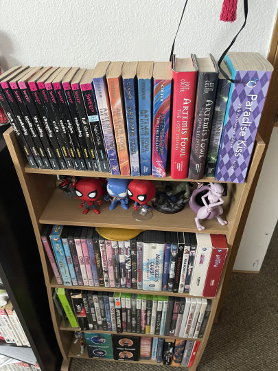 Display by Bigdan4505dc