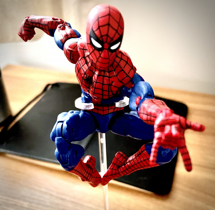 Retro Spider-Man photo by Legendsverse