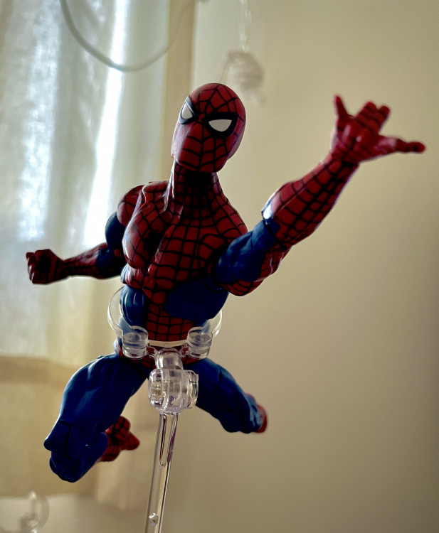 Retro Spider-Man photo by Legendsverse